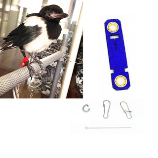 Vòng Da Bọc Chân Chim / Vòng Nhẫn / Vòng Chuỗi Hạt Budgerigar / Magpie / Đám Đông / Starling / Nứt Nẻ / Vòng Chân Chim Không Làm Tổn Thương
