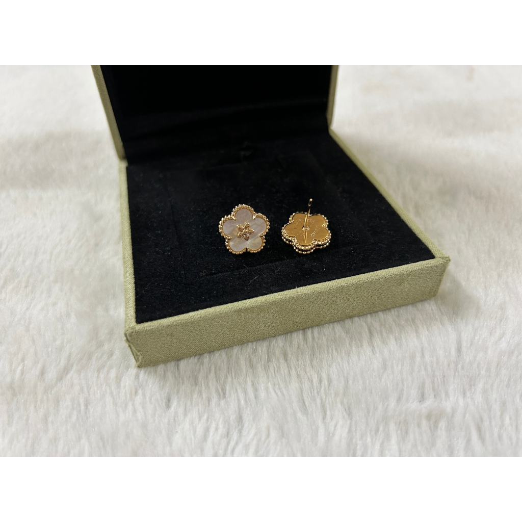 Bông Tai Bạc 925 Hình Cỏ Bốn Lá Thời Trang Và Đơn Giản