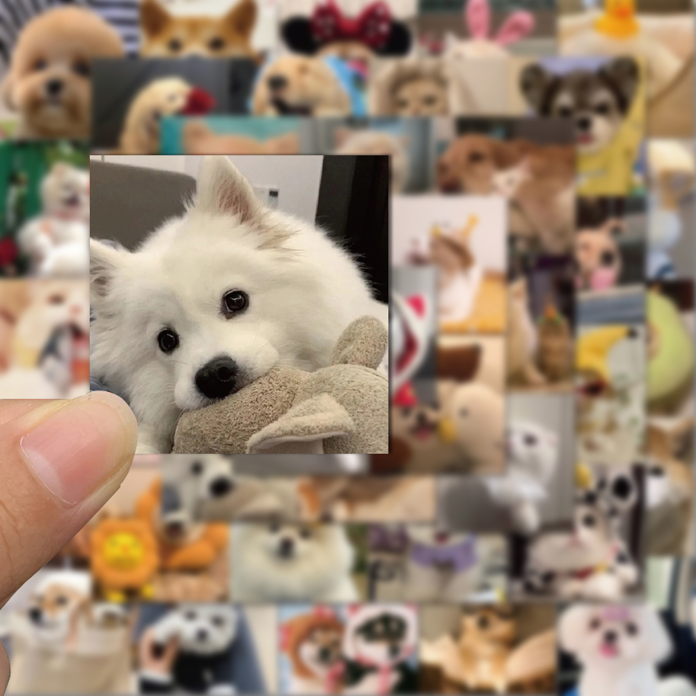 Bộ 52 Miếng Dán Trang Trí laptop / Mũ Bảo Hiểm / Mũ Bảo Hiểm Hình Chó / Mèo graffiti Dễ Thương Chống Thấm Nước