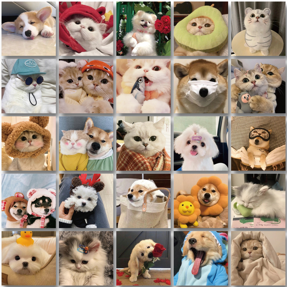 Bộ 52 Miếng Dán Trang Trí laptop / Mũ Bảo Hiểm / Mũ Bảo Hiểm Hình Chó / Mèo graffiti Dễ Thương Chống Thấm Nước