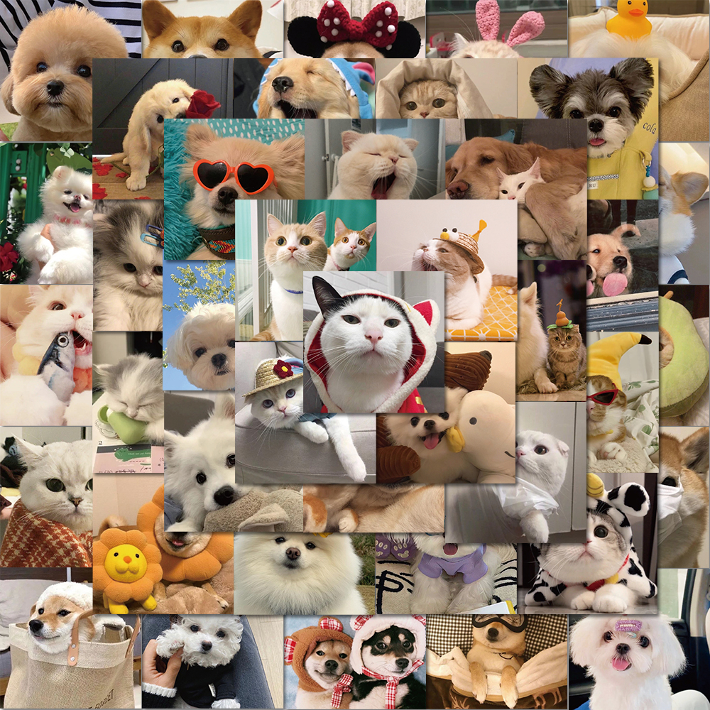 Bộ 52 Miếng Dán Trang Trí laptop / Mũ Bảo Hiểm / Mũ Bảo Hiểm Hình Chó / Mèo graffiti Dễ Thương Chống Thấm Nước