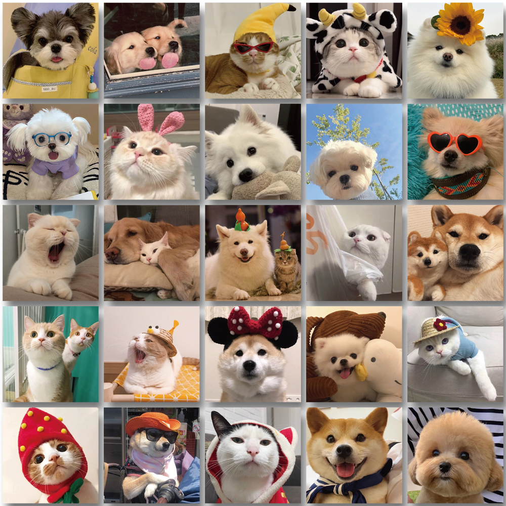 Bộ 52 Miếng Dán Trang Trí laptop / Mũ Bảo Hiểm / Mũ Bảo Hiểm Hình Chó / Mèo graffiti Dễ Thương Chống Thấm Nước