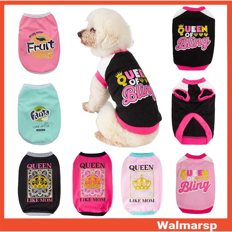 WWA Áo giữ ấm thiết kế xinh xắn đáng yêu dành cho thú cưng Óc Chó Áo Sweater Cổ Tròn In Chữ Queen of Bling Mặc Hàng Ngày Cho Cún Cưng