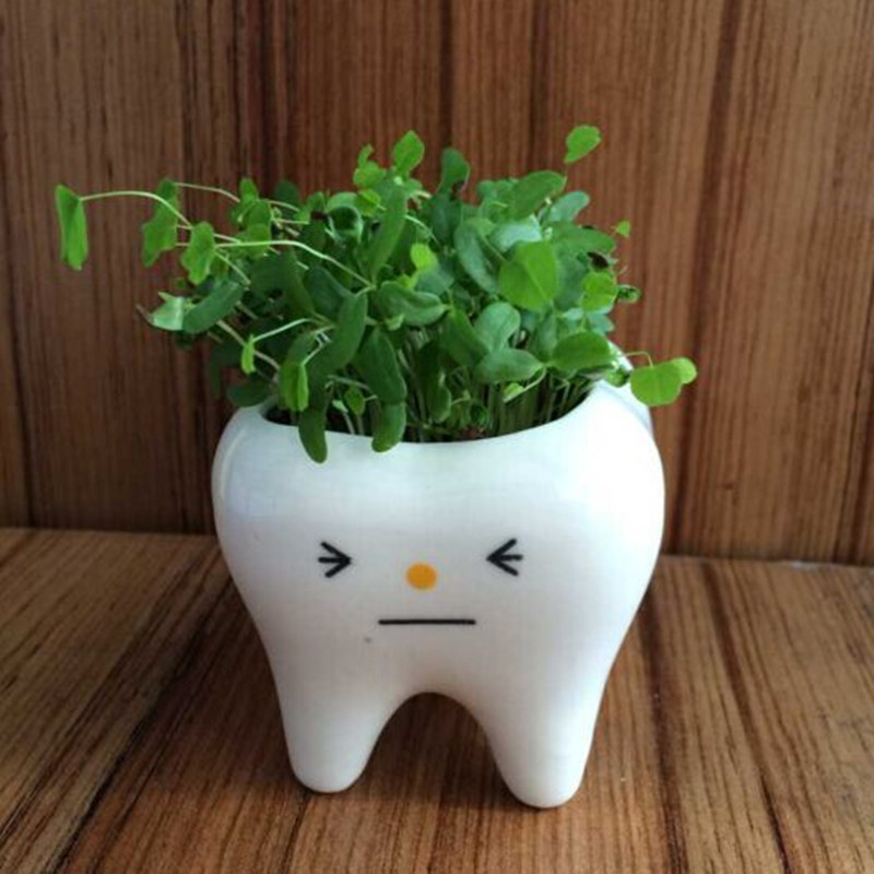 Chậu Hoa Sứ Hình Chiếc Răng Kèm Giá Đỡ Bút Sáng Tạo Trang Trí Nhà Cửa / Sân Vườn