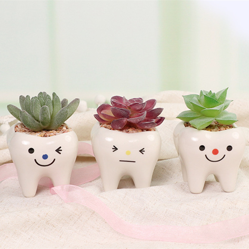 Chậu Hoa Sứ Hình Chiếc Răng Kèm Giá Đỡ Bút Sáng Tạo Trang Trí Nhà Cửa / Sân Vườn