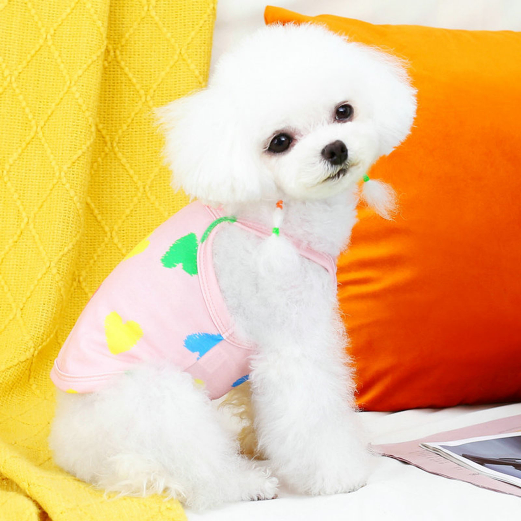 WWA Áo thun thể thao sát nách thoáng khí phong cách mùa hè dễ thương cho thú cưng