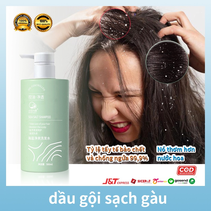 Dầu gội đầu Dầu gội muối biển dầu gội gàu dầu gội mượt tóc 500ml Làm mới kiểm soát dầu loại bỏ ngứa ngáy