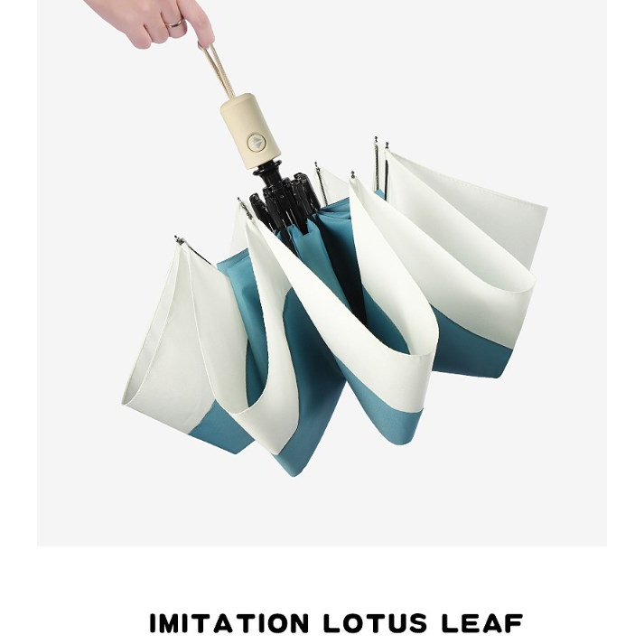 Lebi Dù Gấp Tự Động Ba Khúc Tươi Mới Phong Cách Hàn Quốc Cho Nam Và Nữ