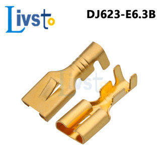 50 / 100 chiếc H62 đồng đóng hộp 6.3mm thiết bị đầu cuối ô tô Đầu nối ô tô thiết bị đầu cuối nữ E6.3 G196