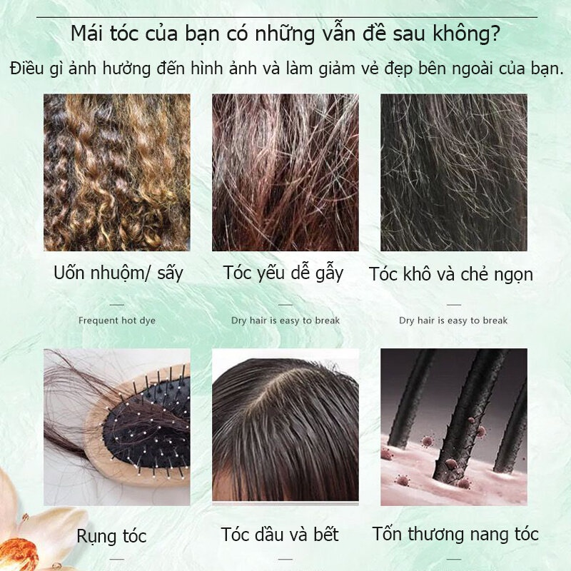 Dầu gội gừng tươi dầu gội mọc tóc dầu gội chống rụng tóc 500ml tự nhiên cải thiện tóc khô kiểm soát dầu xóa gàu