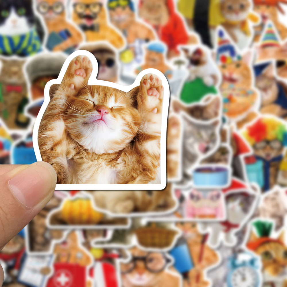Bộ 50 Miếng Dán Chống Nước Hình Mèo Vui Nhộn Tinh Tế Cho Điện Thoại / Laptop