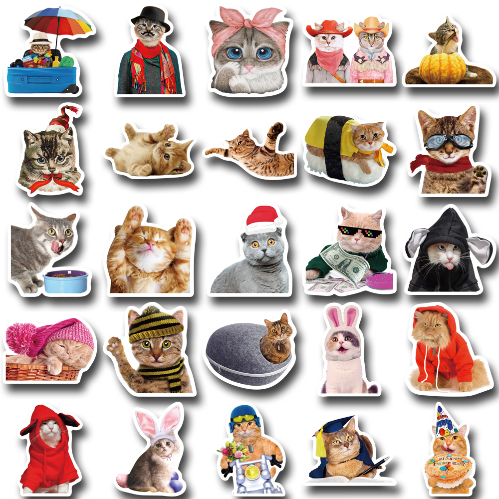 Bộ 50 Miếng Dán Chống Nước Hình Mèo Vui Nhộn Tinh Tế Cho Điện Thoại / Laptop