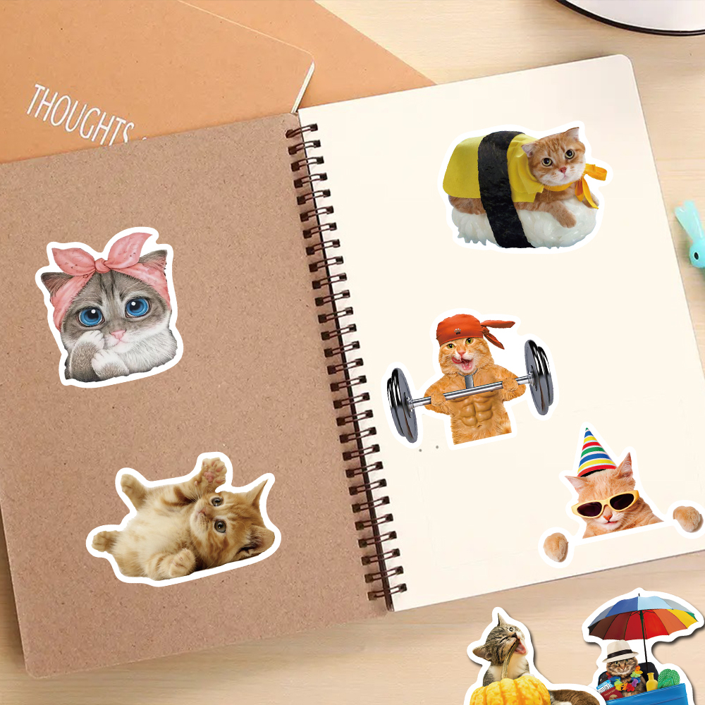 Bộ 50 Miếng Dán Chống Nước Hình Mèo Vui Nhộn Tinh Tế Cho Điện Thoại / Laptop