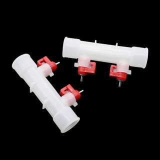 1 bình uống nước tự động cho gà / chim bồ câu / gà