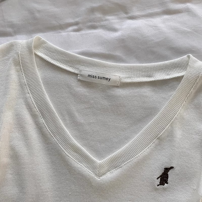 Áo Kiểu Cổ Chữ V Phong Cách Vintage Thời Trang Cho Nữ