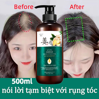 👍🏻Chính Hãng👍🏻 Dầu gội gừng chống rụng tóc dầu gội đầu mọc tóc thảo dược dưỡng sinh kiểm soát dầu loại bỏ gàu 500ML Phục hồi tóc hư tổn, Làm khỏe chân tóc, Giảm rụng tóc, Kích thích mọc tóc, Giải quyết vấn đề hói đầu