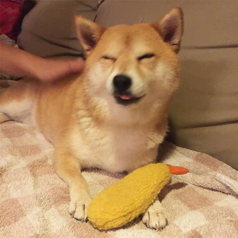 Đồ chơi nhồi bông kiểu dáng tôm chiên xinh xắn cho thú cưng