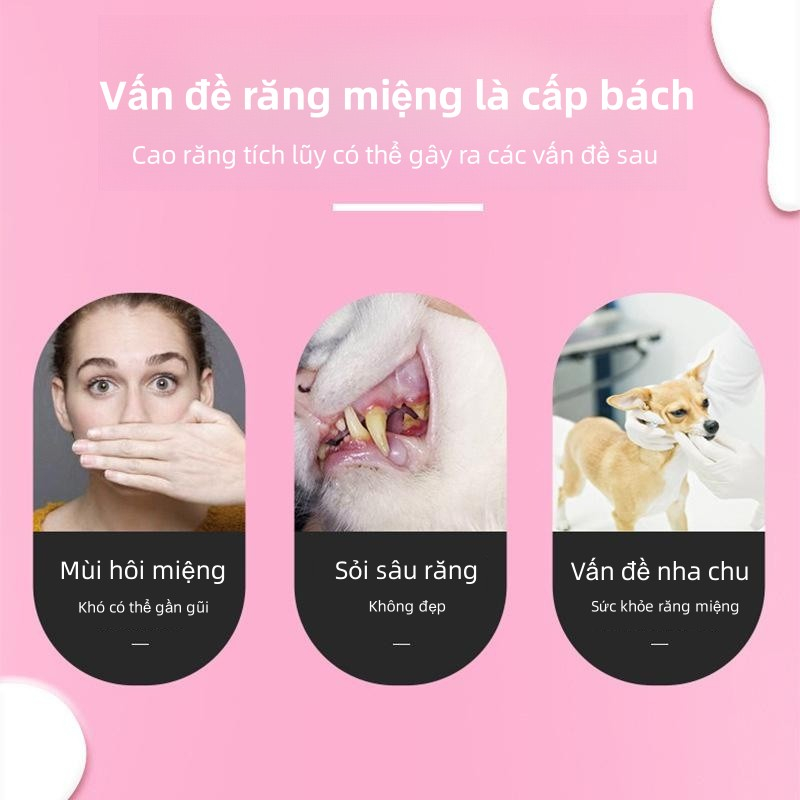 PAWPET Bộ bàn chải và kem Đánh răng chó mèo（1 kem đánh răng + 2 bàn chải đánh răng）/Bộ dụng cụ chăm sóc răng miệng chuyên dụng cho thú cưng