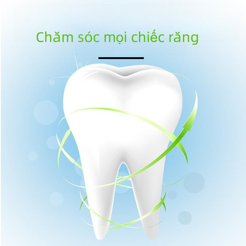 PAWPET Bộ bàn chải và kem Đánh răng chó mèo（1 kem đánh răng + 2 bàn chải đánh răng）/Bộ dụng cụ chăm sóc răng miệng chuyên dụng cho thú cưng