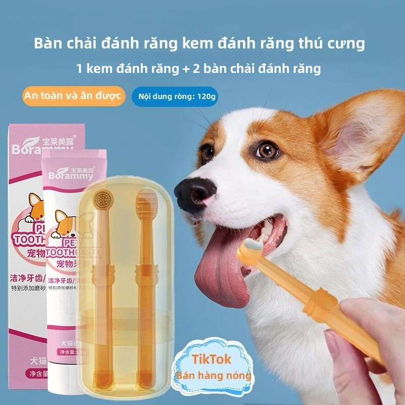 PAWPET Bộ bàn chải và kem Đánh răng chó mèo（1 kem đánh răng + 2 bàn chải đánh răng）/Bộ dụng cụ chăm sóc răng miệng chuyên dụng cho thú cưng