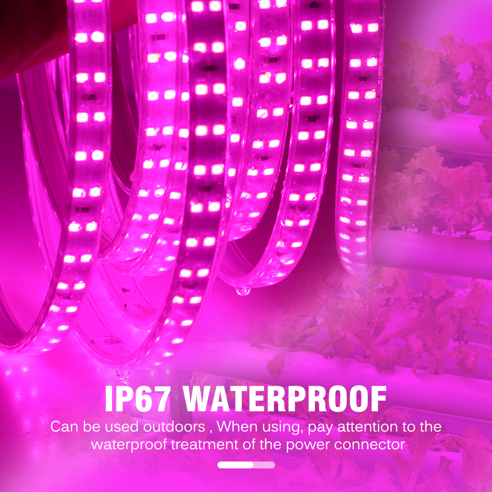 Dây Đèn LED Kích Thích Tăng Trưởng Chống Nước AC220V 1m / 2m / 3m / 4m / 5m / 6m / 8m / 10m 2835