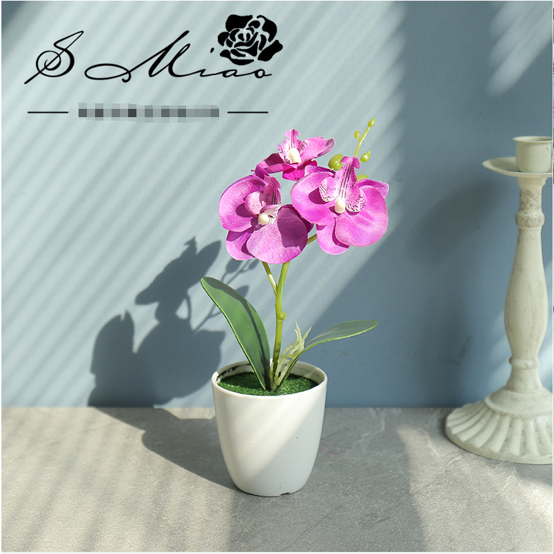 Chậu Cây Bonsai Mini Nhân Tạo Dùng Trang Trí Nội Thất