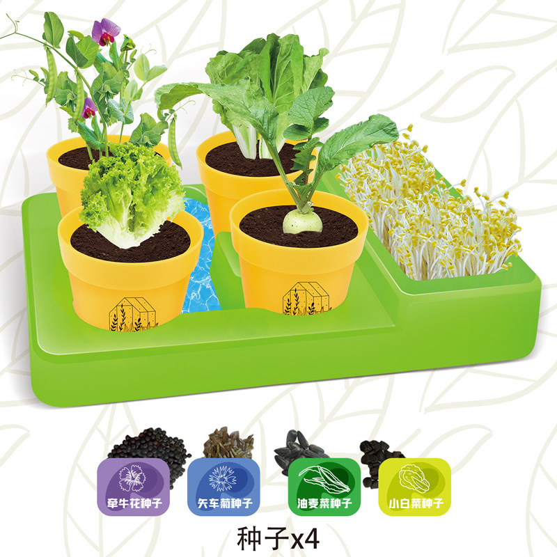 Bộ Đồ Chơi Thí Nghiệm Khoa Học Trồng Cây Cho Bé Trai Bé Gái 1 Tuổi DIY