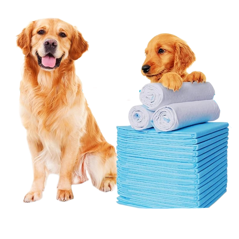 Tã Lót Thấm Hút Nước Tiểu Dùng Một Lần Tiện Dụng Cho Thú Cưng