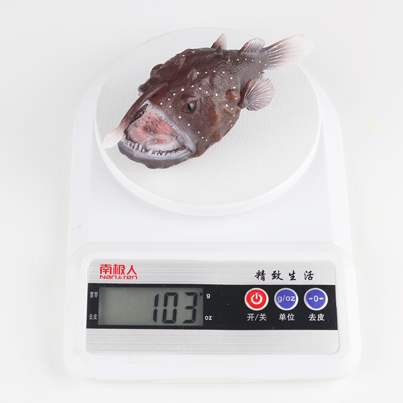 Đồ Chơi Mô Hình Cá Biển Sâu Giáo Dục Khoa Học Cho Bé