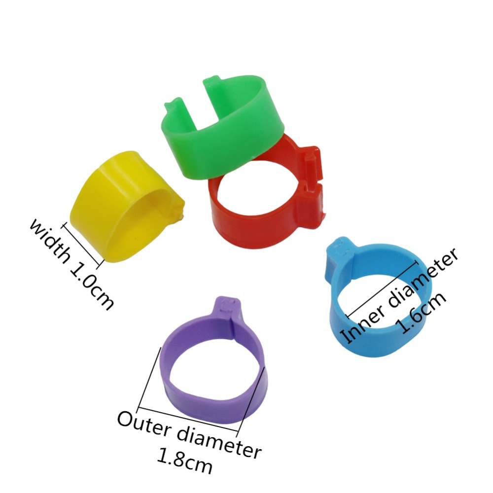 20 Chiếc Gà Vòng Chân Nhựa Ốp Vòng ID1.6cm/2.0cm Gà Vịt Ngỗng Chim Gia Cầm Bút Chân Nhẫn Cho Chim ăn Thiết Bị