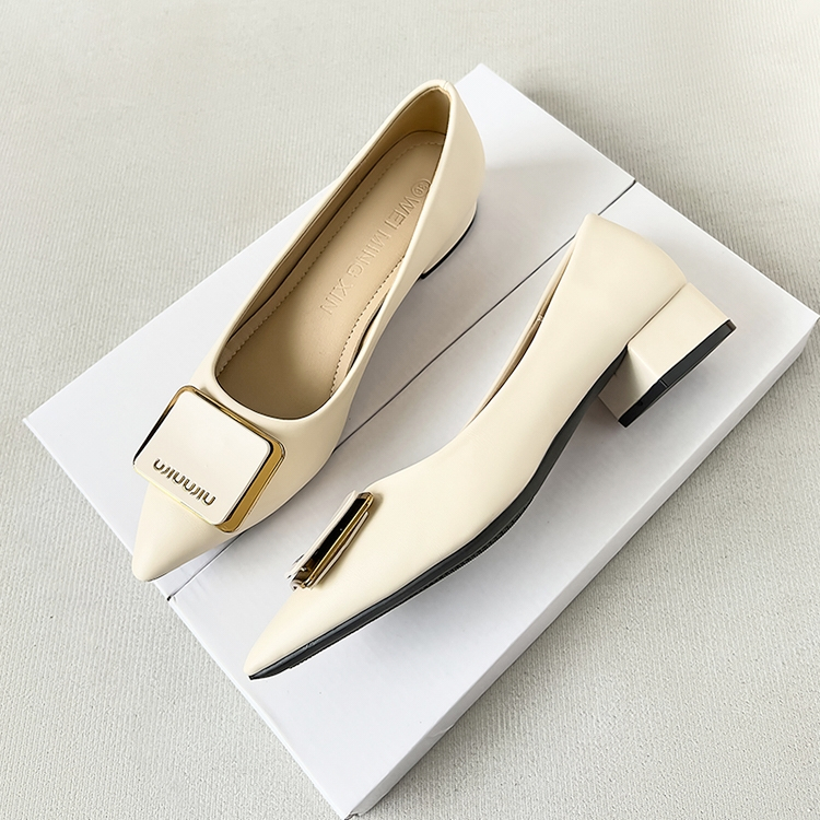 Giày Cao Gót 3Cm Da Mềm Mũi Nhọn Phối Khóa Kim Loại Vuông Thời Trang Dành Cho Nữ Size 33-42