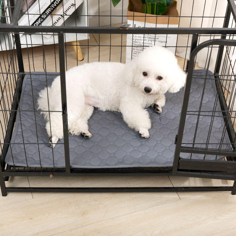Thảm Lót Chống Thấm Nước Và Chống Trượt Giúp Khô Nhanh 25kg Dành Cho Chó Mèo