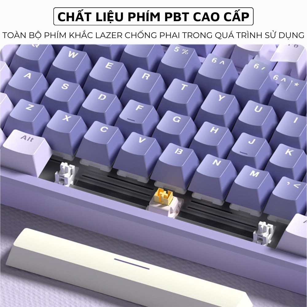 Bàn PhíM Cơ Gaming X87 LED, 25 Chế Độ, Công TắC MàU TrắNg