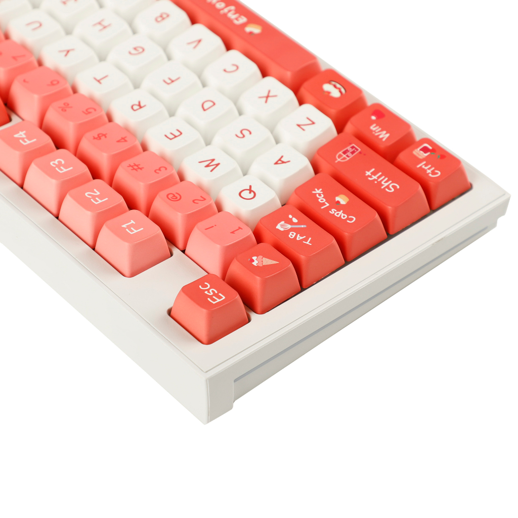 Nút Bàn Phím Dày 1.6mm Chuyên Dụng Cho TKL 61 64 68 75 87 96 104 GMMK MX