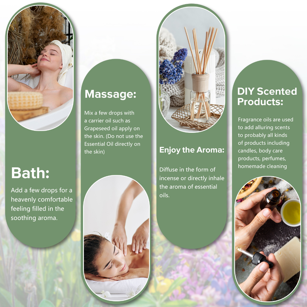 Tinh Dầu Cho Máy Khuếch Tán Hương Thơm 10ml Đa Năng