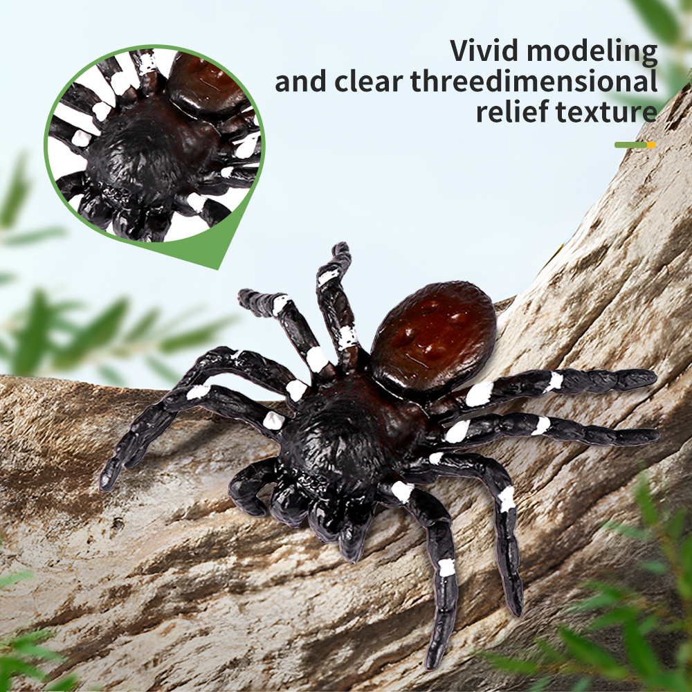 Bộ Mô Hình Côn Trùng Mini Hoang Dã Bướm Bọ Cạp Cicada Thằn Lằn Đồ Chơi Giáo Dục Halloween Cho Trẻ Em