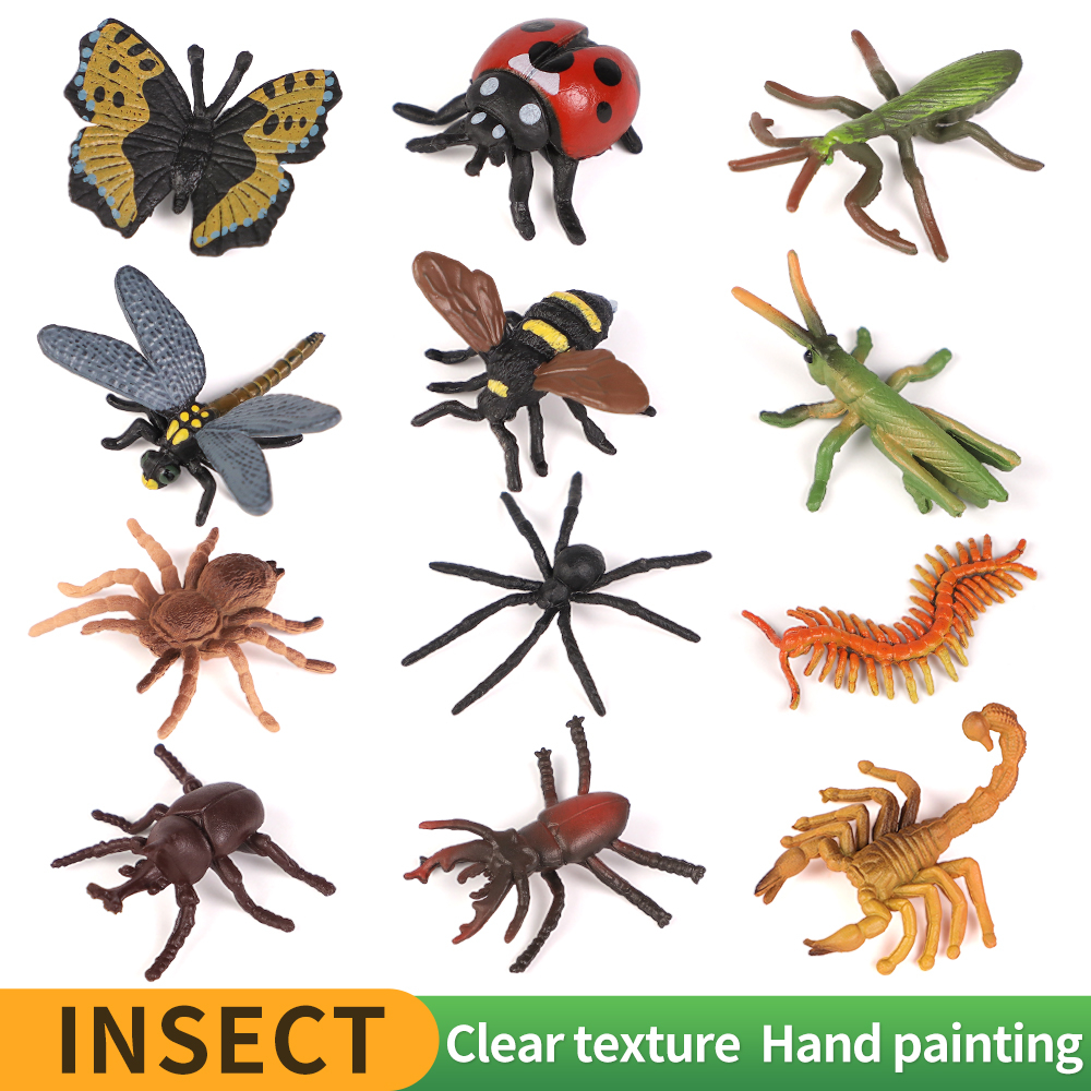 Bộ Mô Hình Côn Trùng Mini Hoang Dã Bướm Bọ Cạp Cicada Thằn Lằn Đồ Chơi Giáo Dục Halloween Cho Trẻ Em