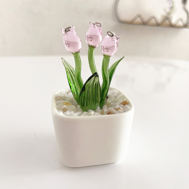 Chậu Kính Trồng Cây Để Bàn Sáng Tạo Trang Trí Phòng Khách