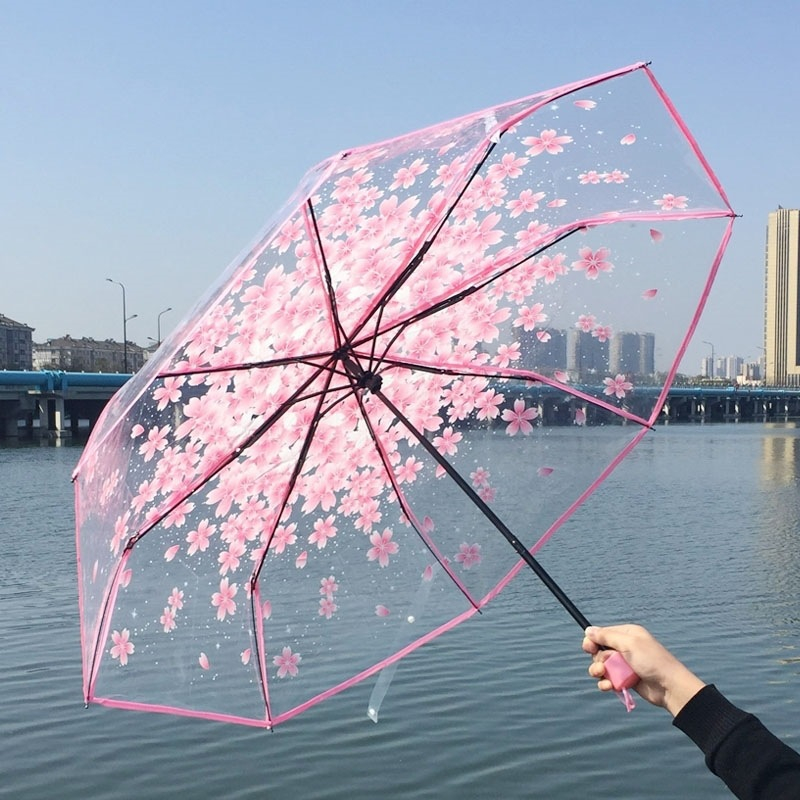 1 Ô dù gấp trong suốt hình hoa anh đào
