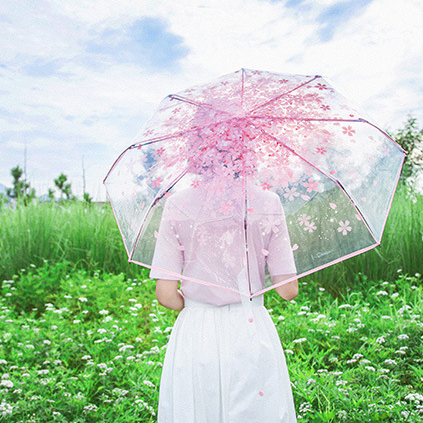 1 Ô dù gấp trong suốt hình hoa anh đào