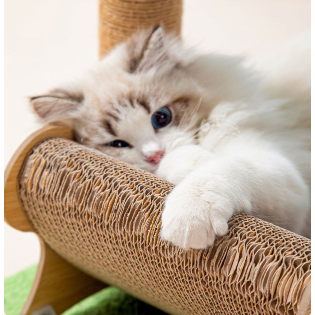 CATTREE Cây dừa cào móng cho mèo - Ghế bãi biển cây dừa Cào móng Sisal 4 mùa cho mèo