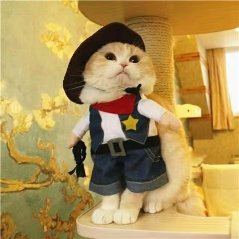 Elsabell. Búp Bê Ngộ Nghĩnh Chó Trang Phục Màu Sắc Tươi Sáng Mềm Mại Thoải Mái Hóa Cho Giáng Sinh Halloween M