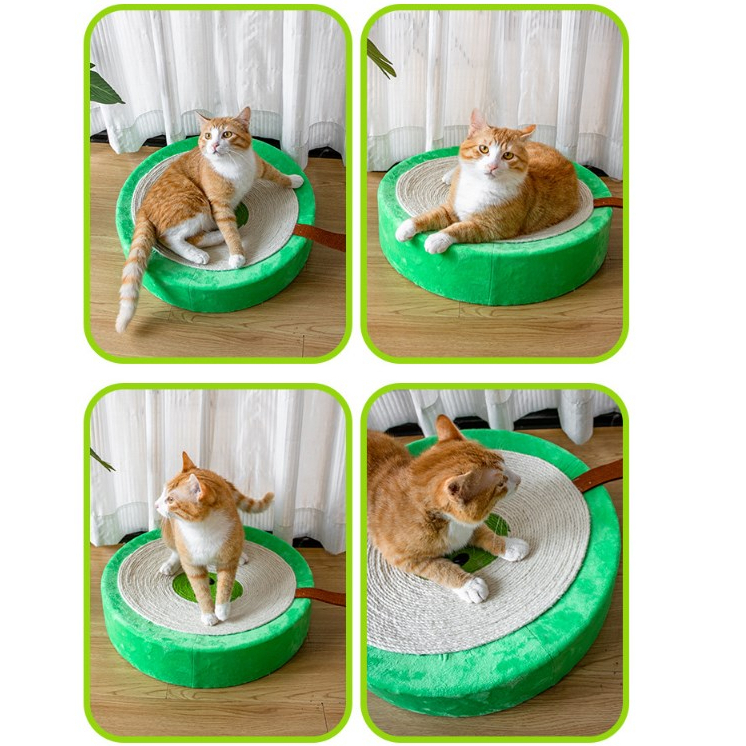 Elsabell. Bàn Cào Móng Mèo Dưa Hấu - Đồ Chơi Mài Móng Cho Thú Cưng
