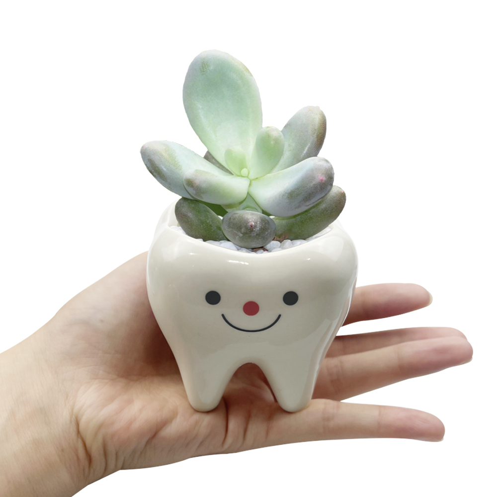 Chậu Hoa Sứ Hình Chiếc Răng Kèm Giá Đỡ Bút Sáng Tạo Trang Trí Nhà Cửa / Sân Vườn