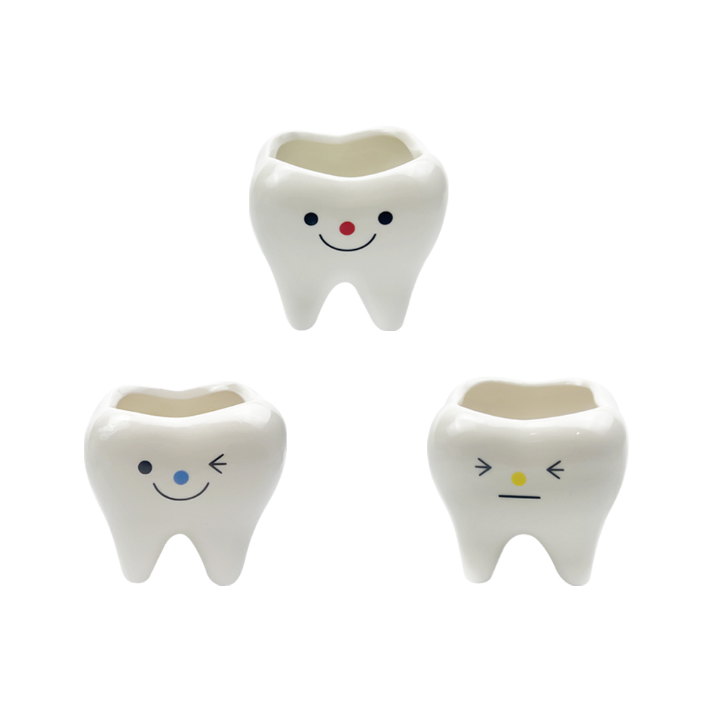 Chậu Hoa Sứ Hình Chiếc Răng Kèm Giá Đỡ Bút Sáng Tạo Trang Trí Nhà Cửa / Sân Vườn