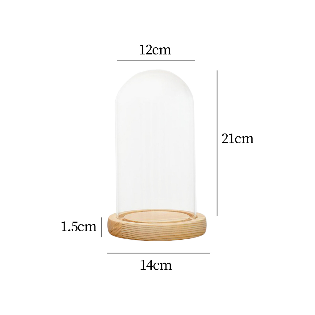 Đế gỗ có lồng thủy tinh tiện dụng cho trang trí DIY dùng làm quà sinh nhật tiện dụng Trang Trí Nhà Cửa / Tiệc Cưới