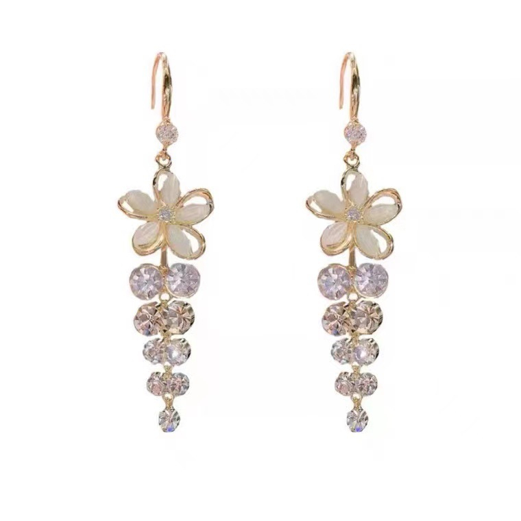 Bông Tai Mạ Bạc 925 Hình Hoa Đính Đá Zircon Tua Rua Thời Trang Cho Nữ