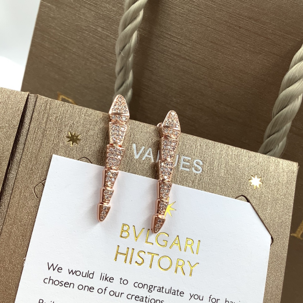 Đôi Bông Tai Mạ Bạc 925 Hình Rắn Đính Đá Thời Trang