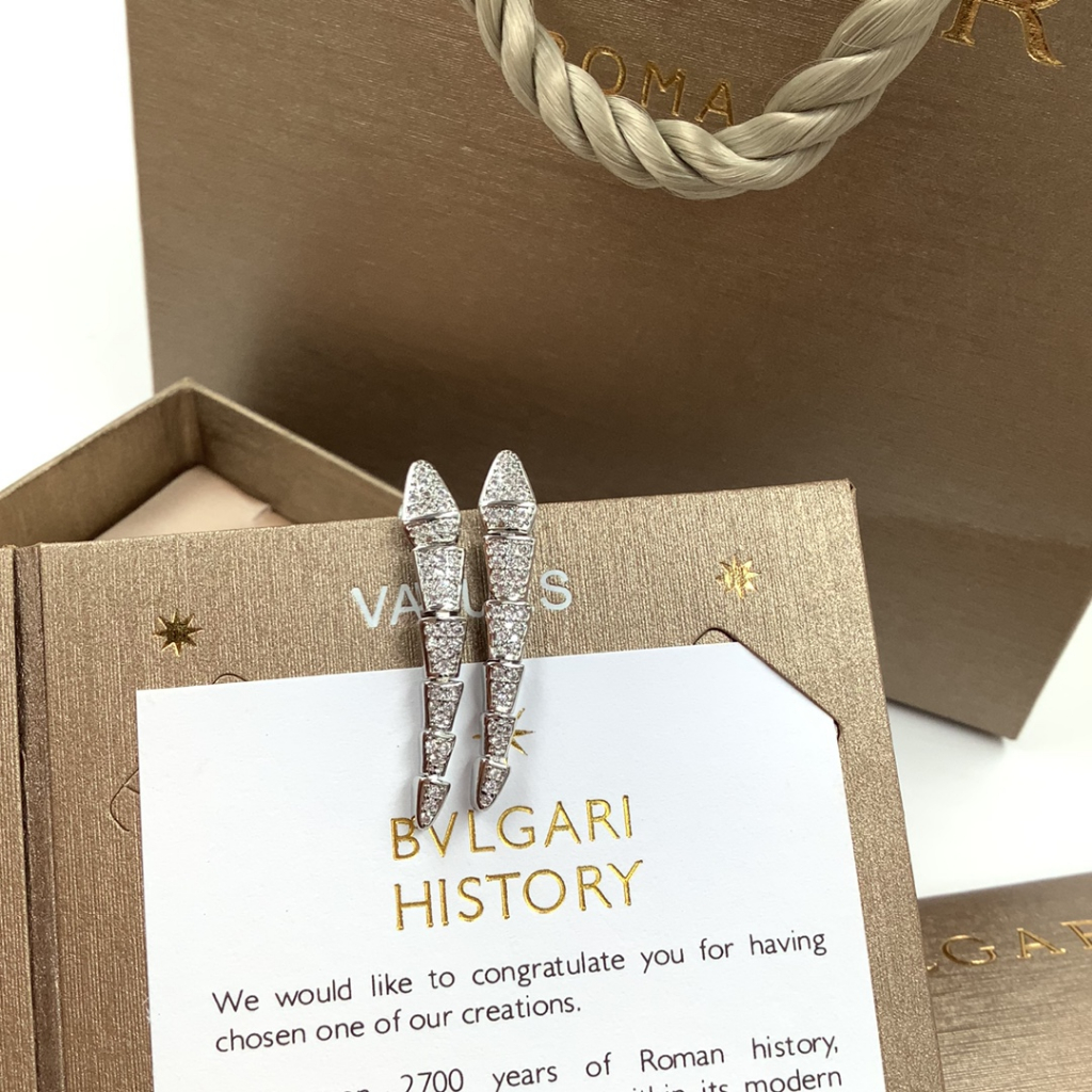 Đôi Bông Tai Mạ Bạc 925 Hình Rắn Đính Đá Thời Trang