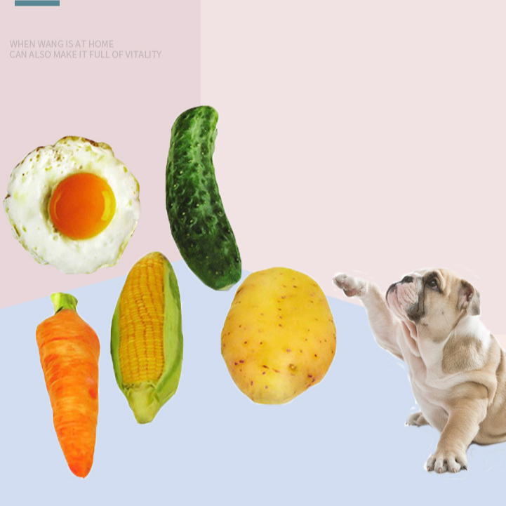 Khúc Xương Nhồi Bông Phát Ra Âm Thanh Vui Nhộn Dành Cho Thú Cưng